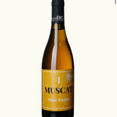 PEDRO OLIVARES MUSCAT BLANC D’ARGILA