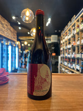 DOMAINE ST PIERRE PETIT CUROULET