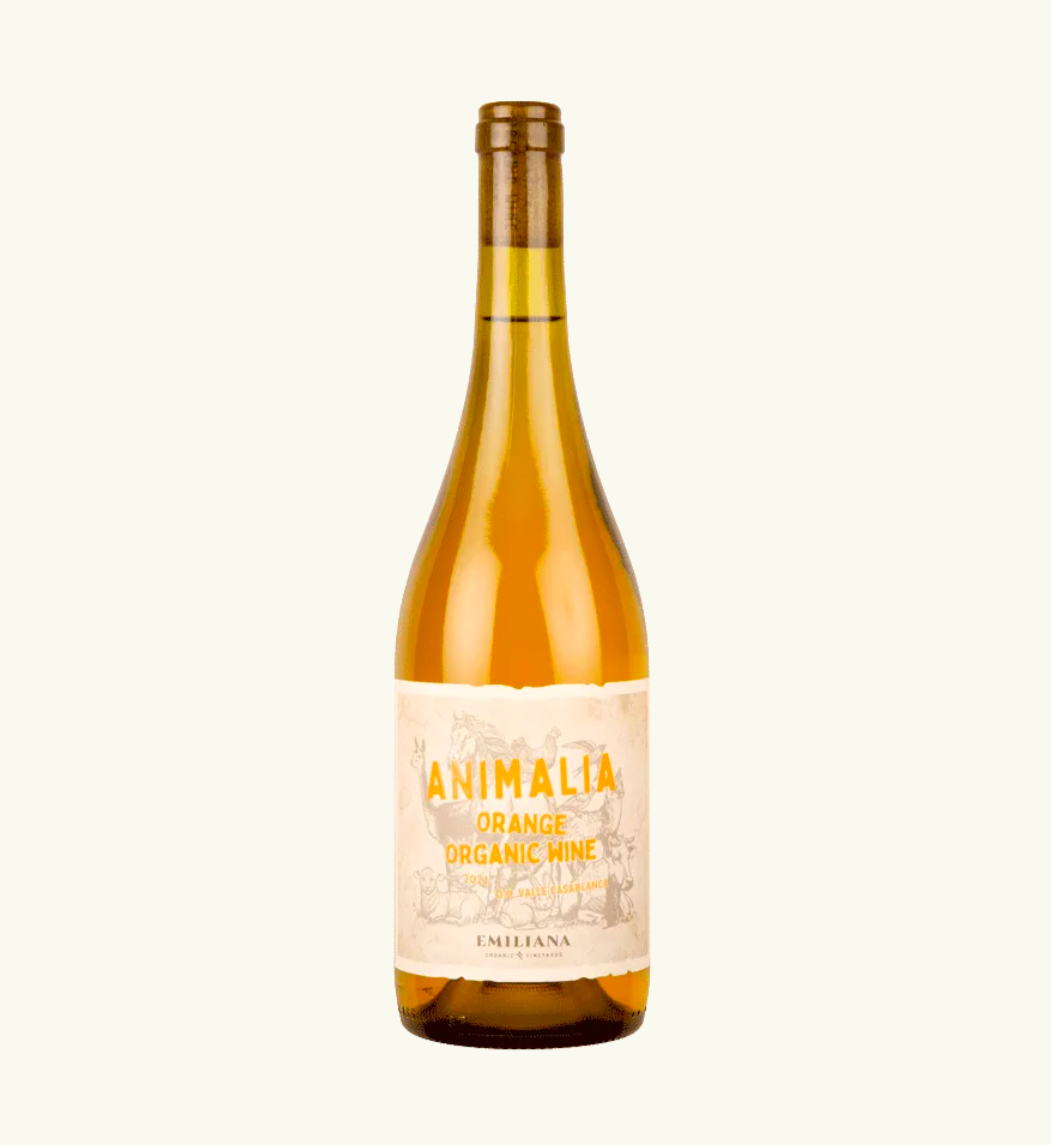 South America Wine